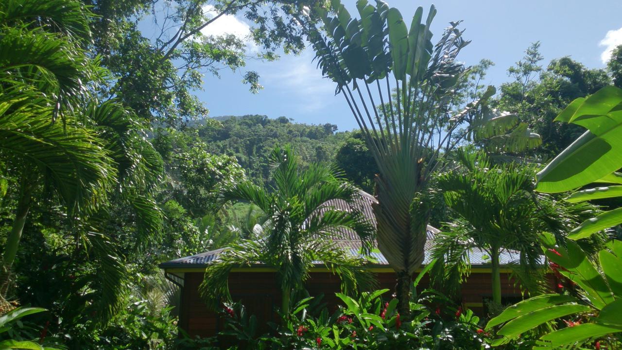 Villa Ti Plèn Kréol Pointe-Noire Exterior foto