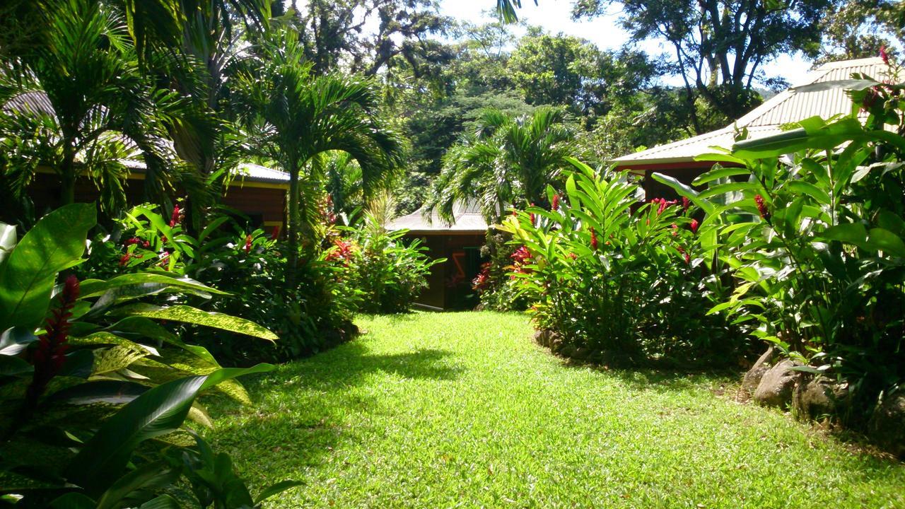 Villa Ti Plèn Kréol Pointe-Noire Exterior foto