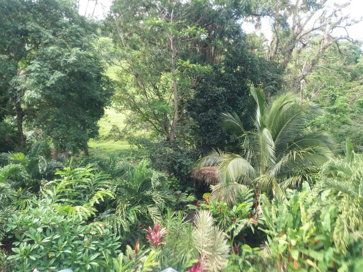 Villa Ti Plèn Kréol Pointe-Noire Exterior foto